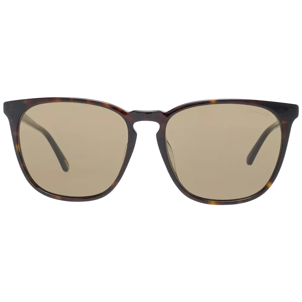 Brown Men Sunglasses