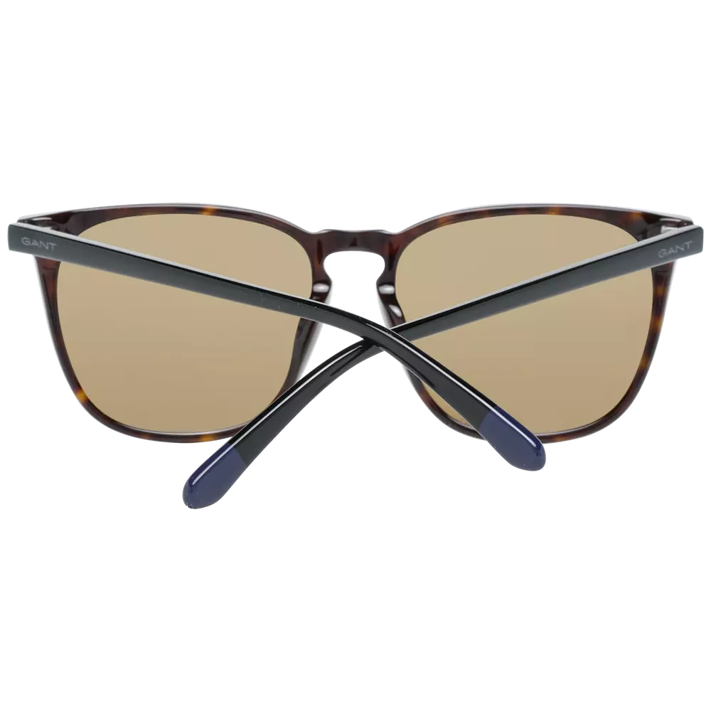 Brown Men Sunglasses