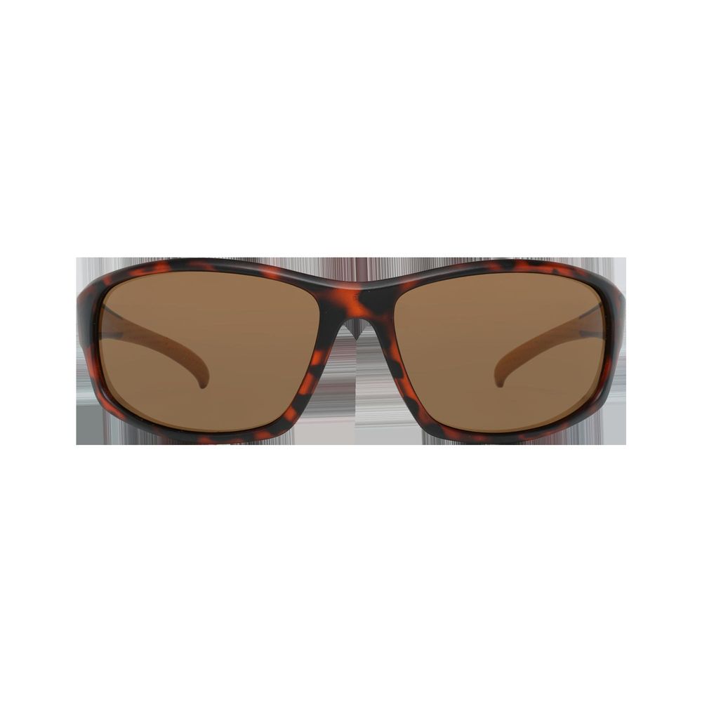 Brown  Sunglasses