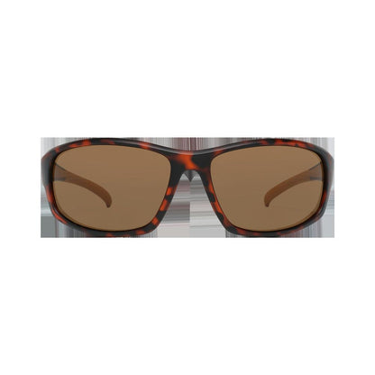 Brown  Sunglasses