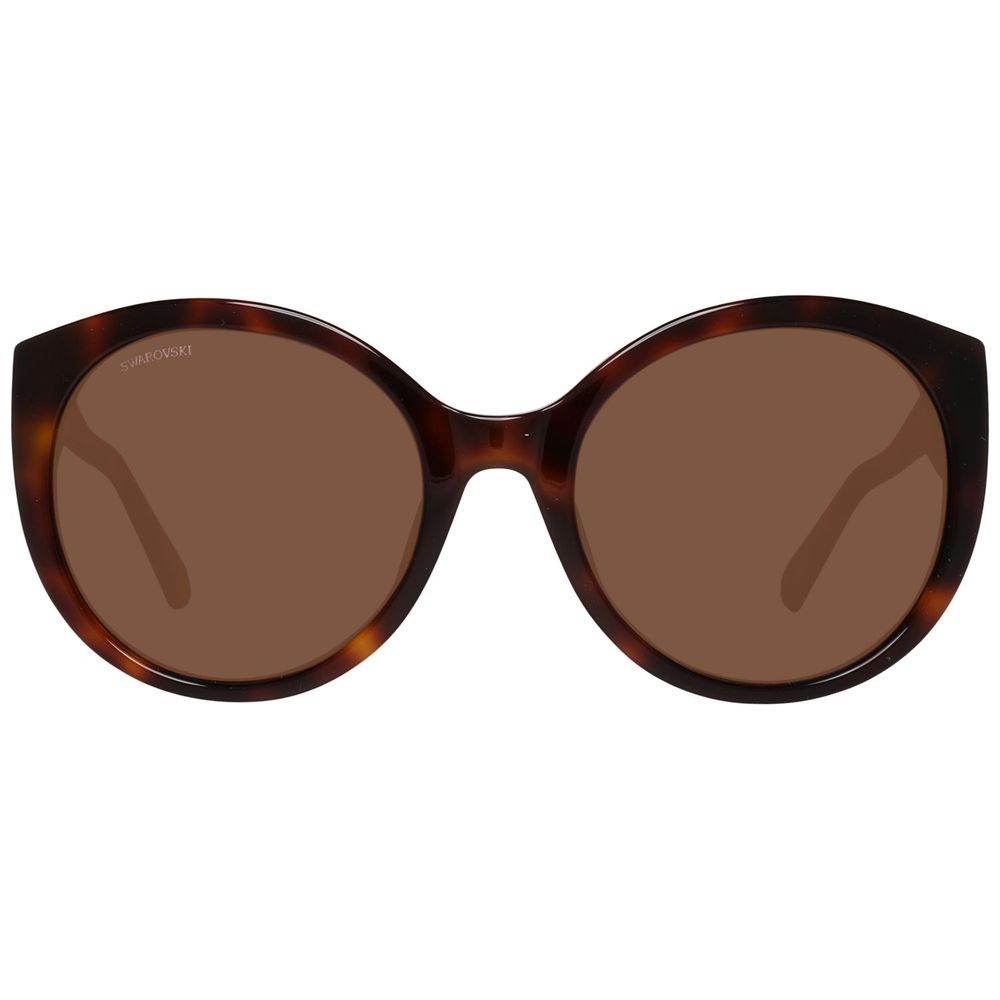 Brown Plastic Sunglasses